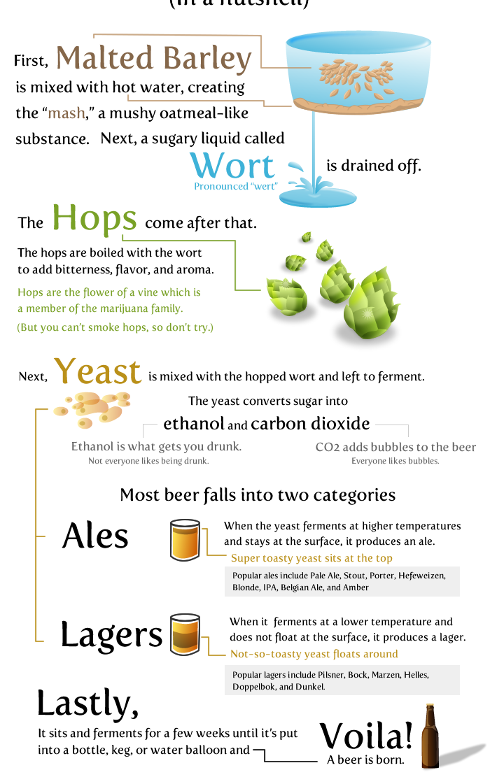 20 Things worth knowing about Beer Infographics 5