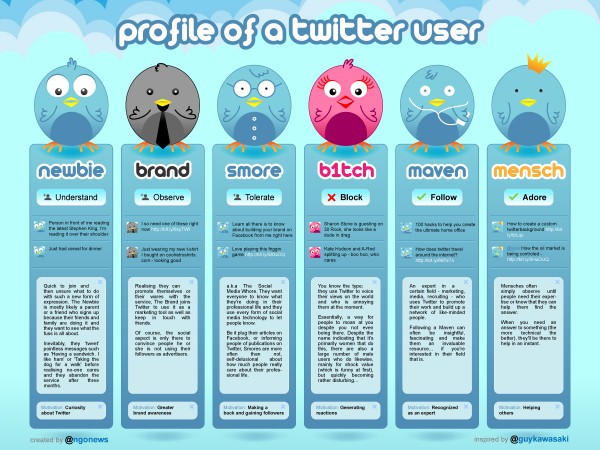 Twitter Users Profile Infographic