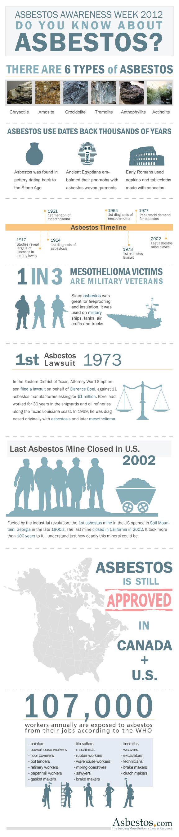 Asbestos 2012 infographic