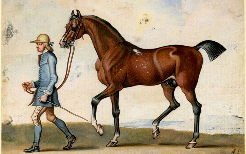 History of Horses