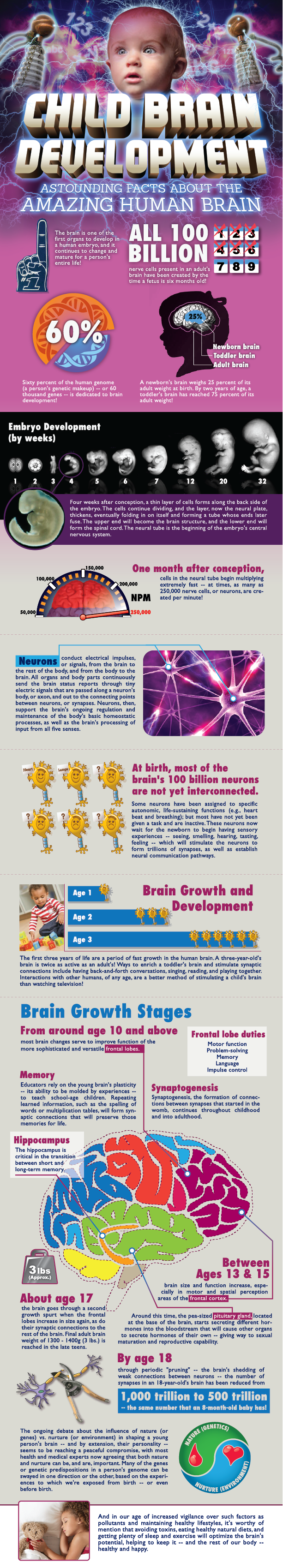 Child Brain Development