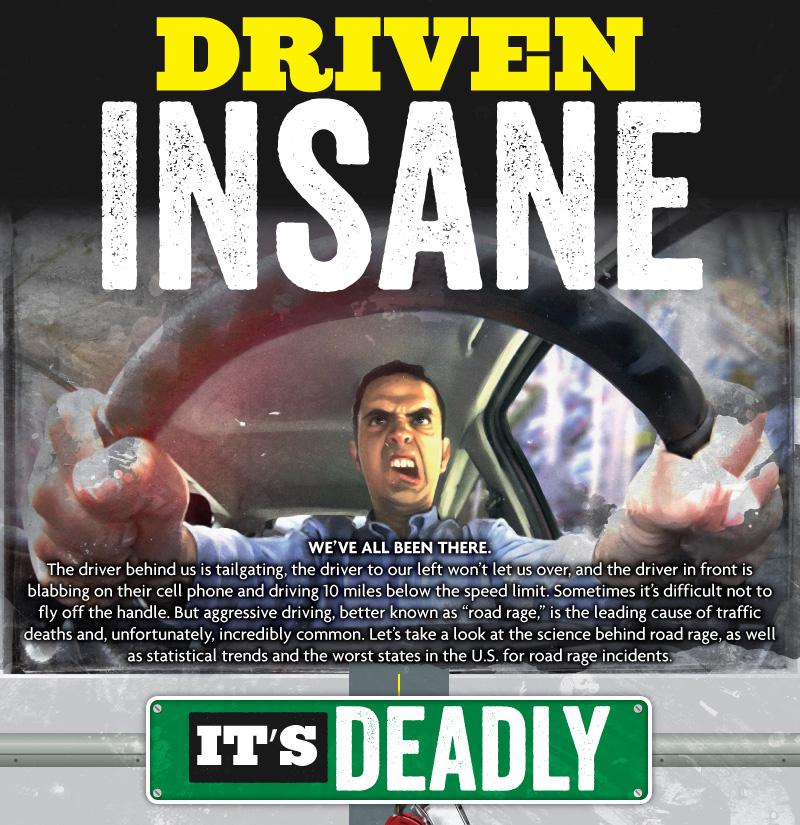 Driven Insane: Road Rage 1