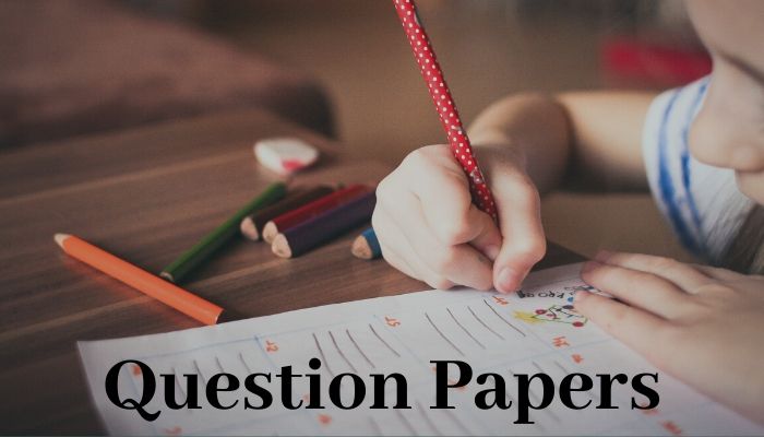 Top 5 Tips to Help You Approach Your Question Paper Better 14