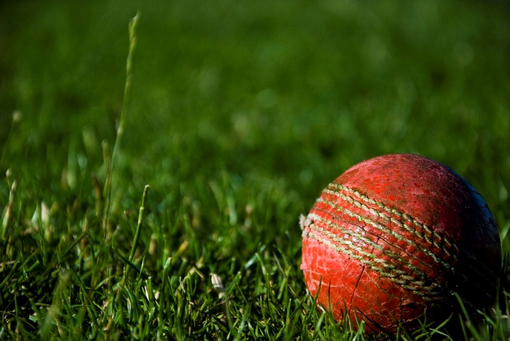best apps for cricket fans