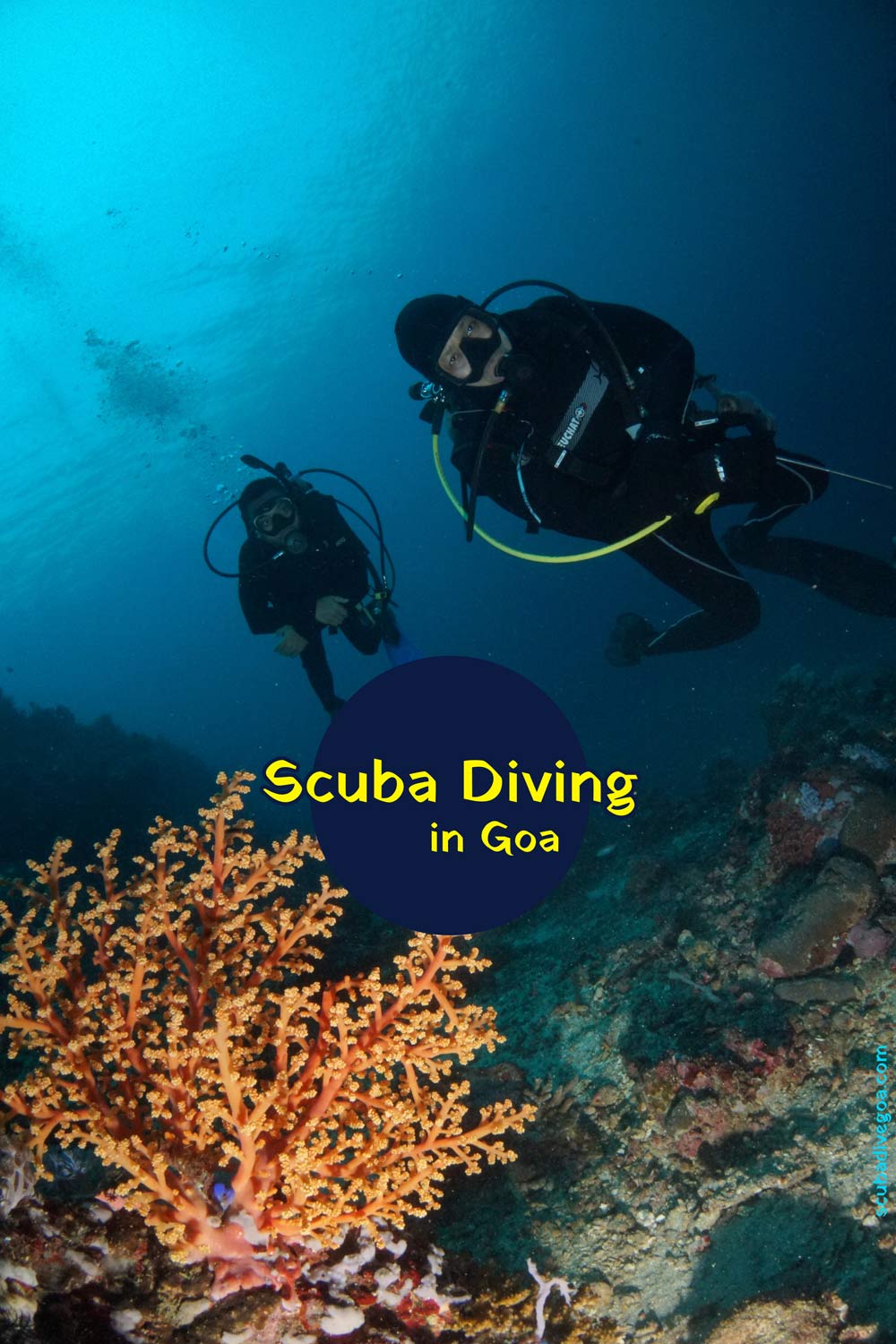 Experience Scuba Diving at Grand Island in Goa 7